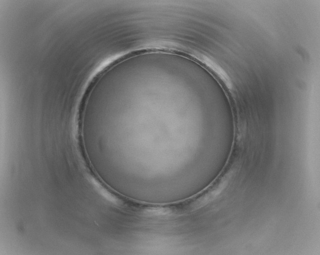 X0000115591037200911241529