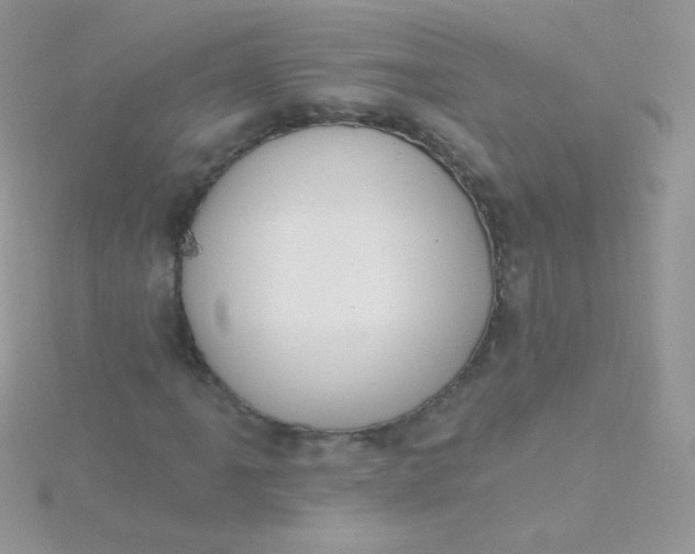 X0000115591061200911241529