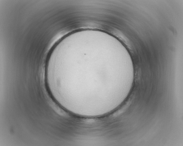 X0000115591130200911241528