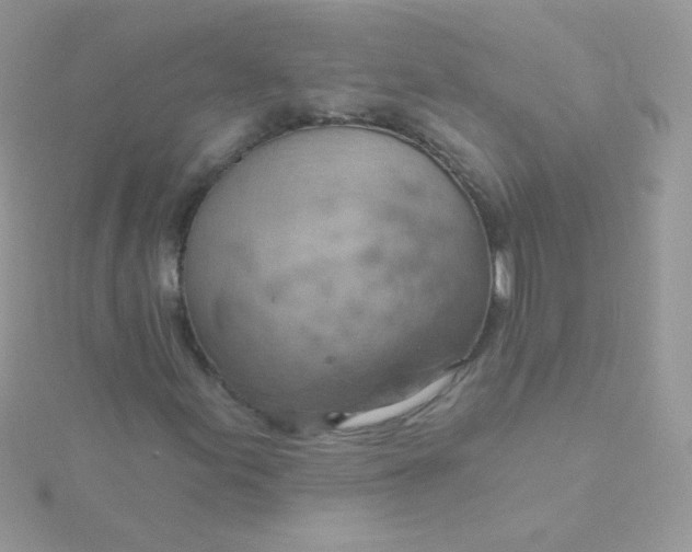 X0000115591155200911241527