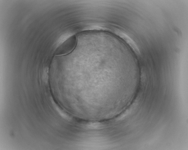 X0000115591233200911241526