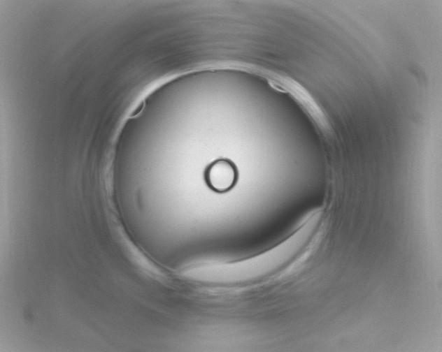 X0000115591244200911241527