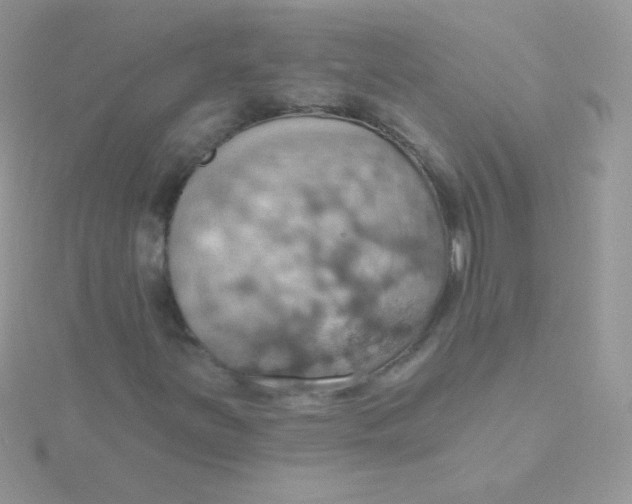 X0000115591251200911241526