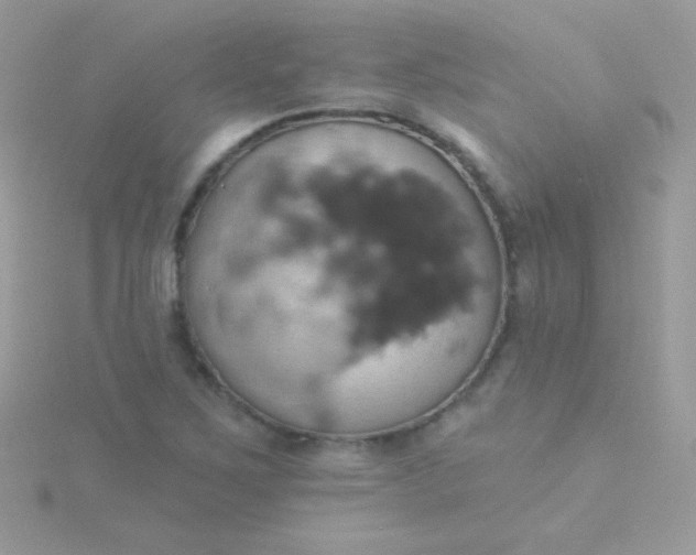 X0000115591267200911241526