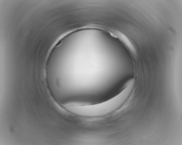 X0000115591292200911241526