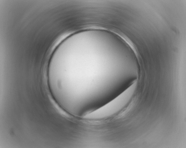 X0000115591293200911241526