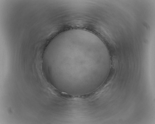 X0000115591297200911241525