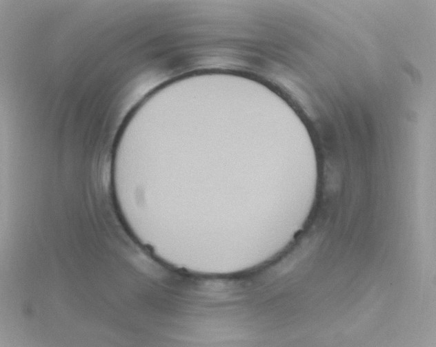 X0000115591322200911241525