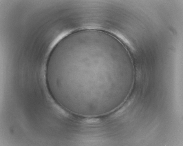 X0000115591325200911241525