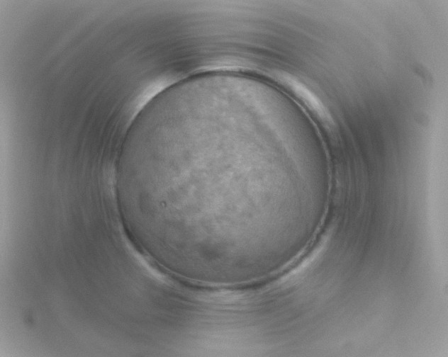 X0000115591329200911241525