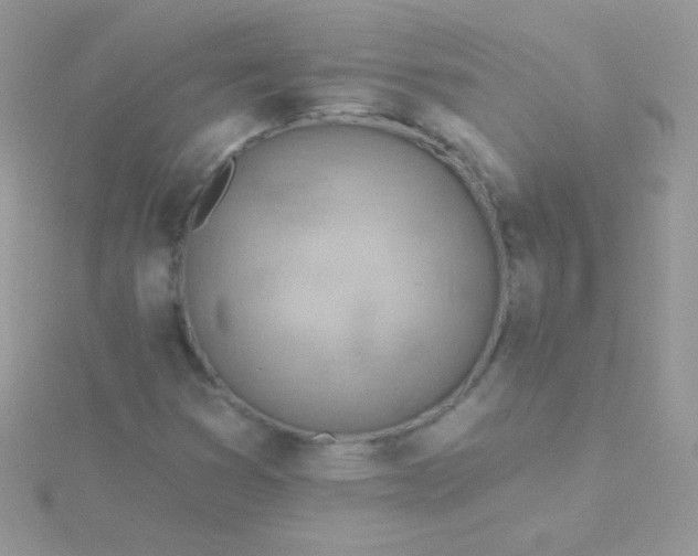 X0000115591353200911241525