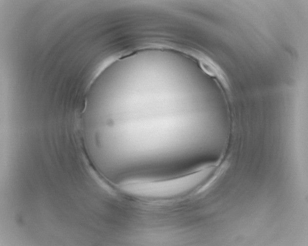 X0000115591385200911241524