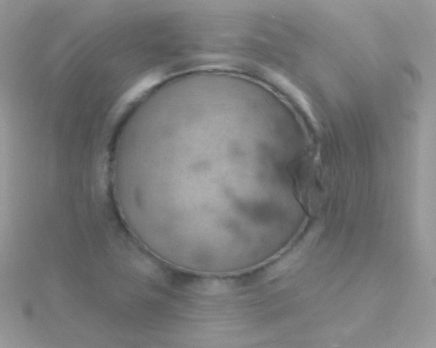 X0000115591411200911241524