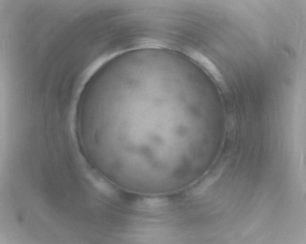 X0000115591427200911241524