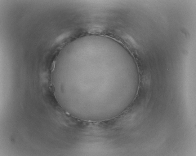 X0000115591445200911241523