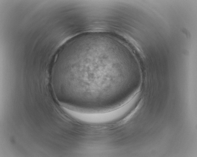 X0000115591449200911241523