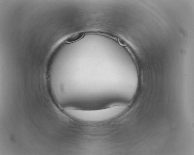 X0000115591452200911241523