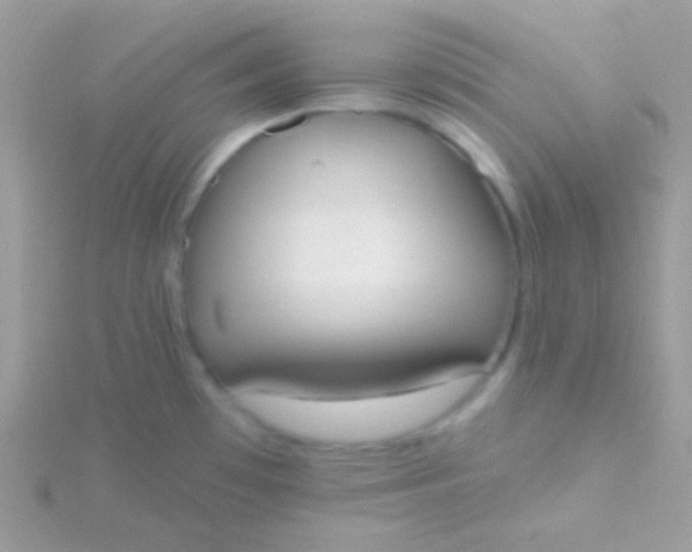 X0000115591481200911241523