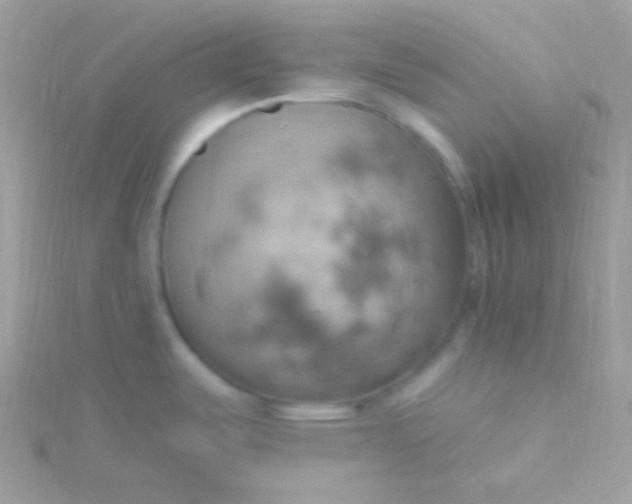 X0000115591487200911241523