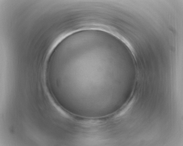 X0000115591533200911241523