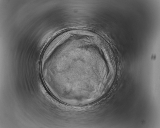 X0000115590002200912011514