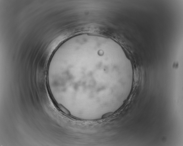 X0000115590003200912011514