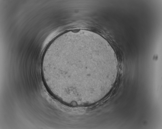 X0000115590004200912011514