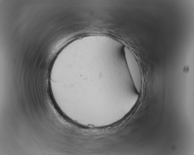 X0000115590005200912011514