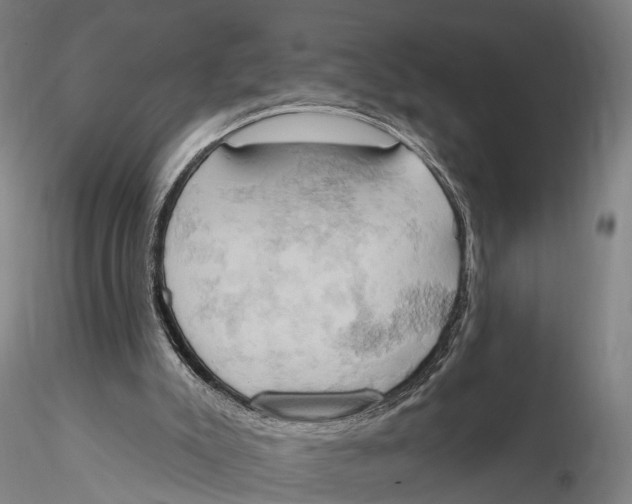 X0000115590007200912011514