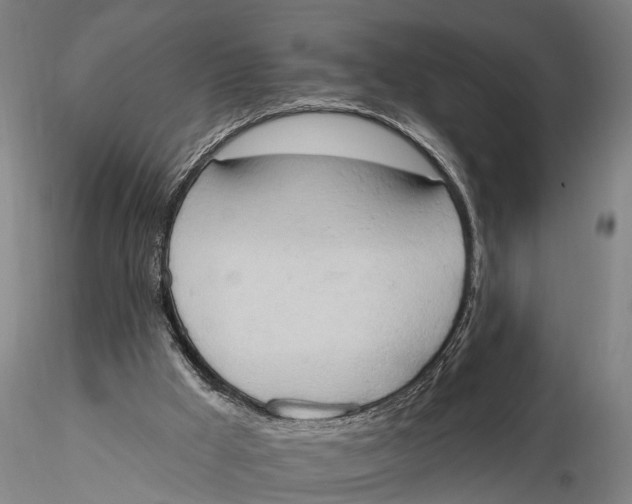 X0000115590009200912011514