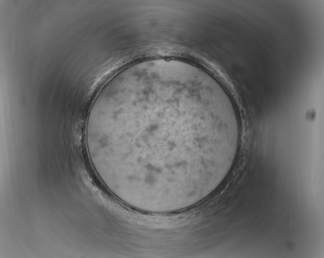 X0000115590010200912011514