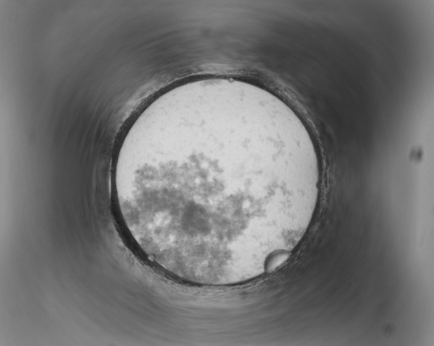 X0000115590011200912011514