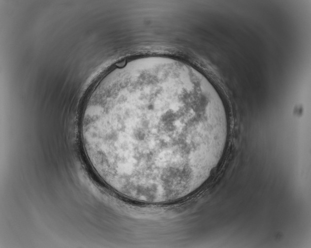 X0000115590012200912011514