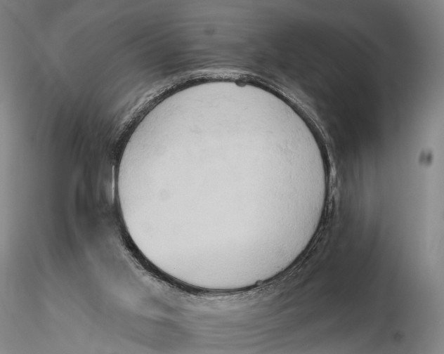 X0000115590013200912011514