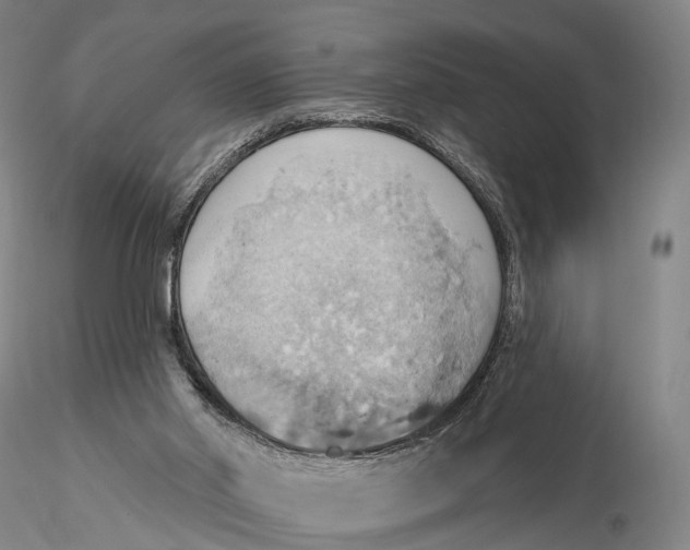 X0000115590014200912011514