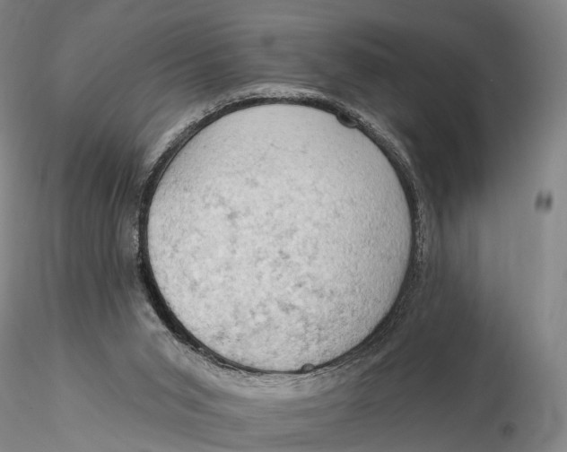 X0000115590015200912011514