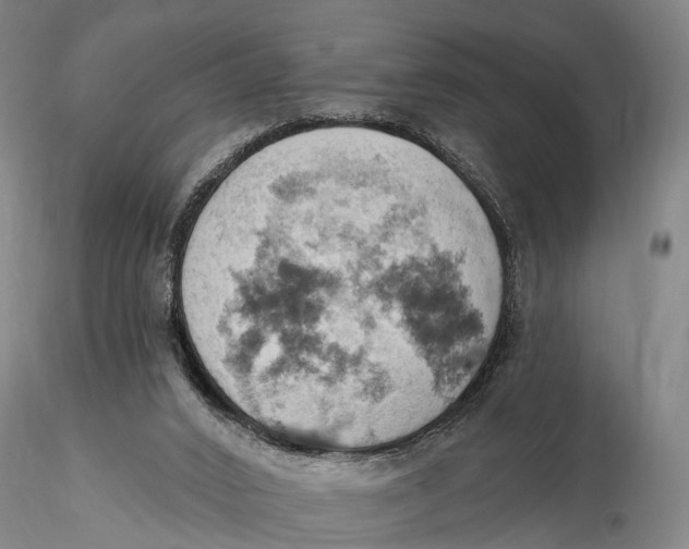 X0000115590016200912011514