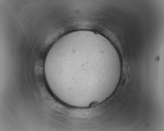 X0000115590017200912011514