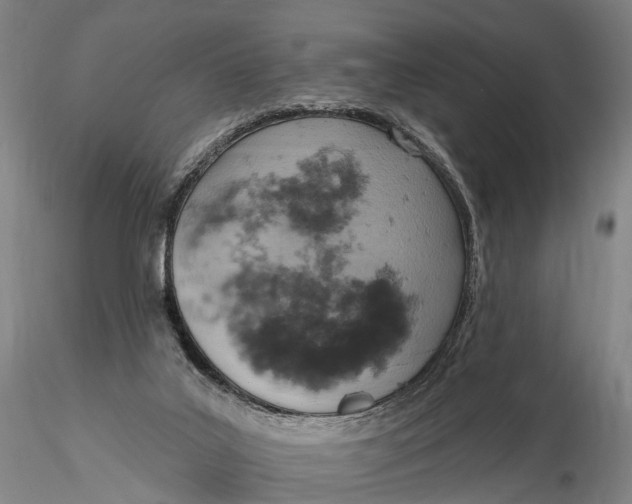 X0000115590019200912011514