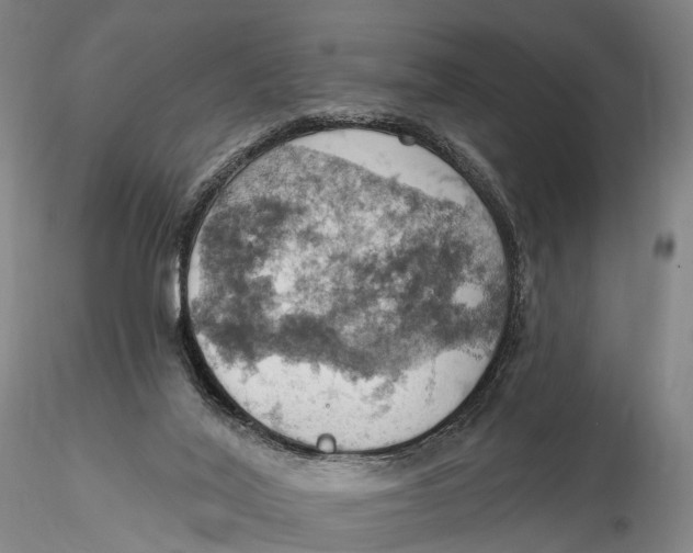 X0000115590020200912011514