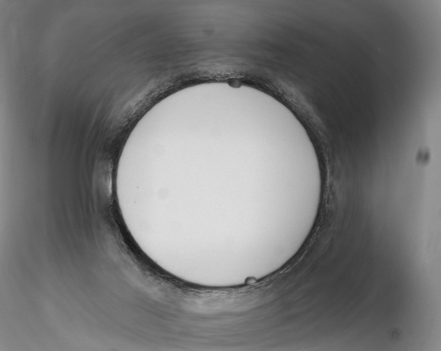 X0000115590021200912011514