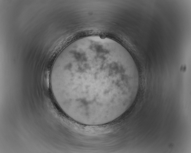X0000115590022200912011514