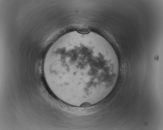 X0000115590023200912011514