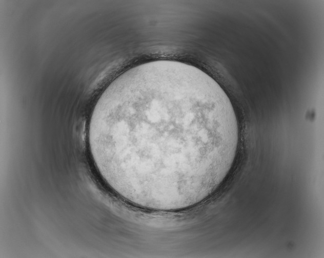 X0000115590024200912011514