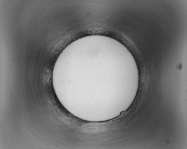 X0000115590025200912011514