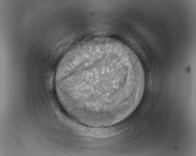 X0000115590026200912011514