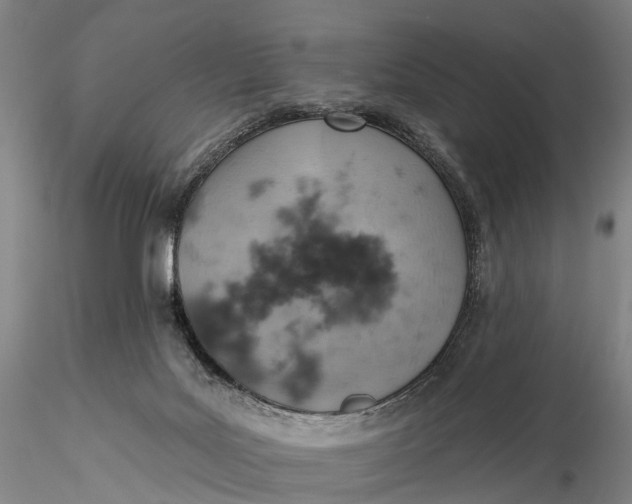X0000115590027200912011514
