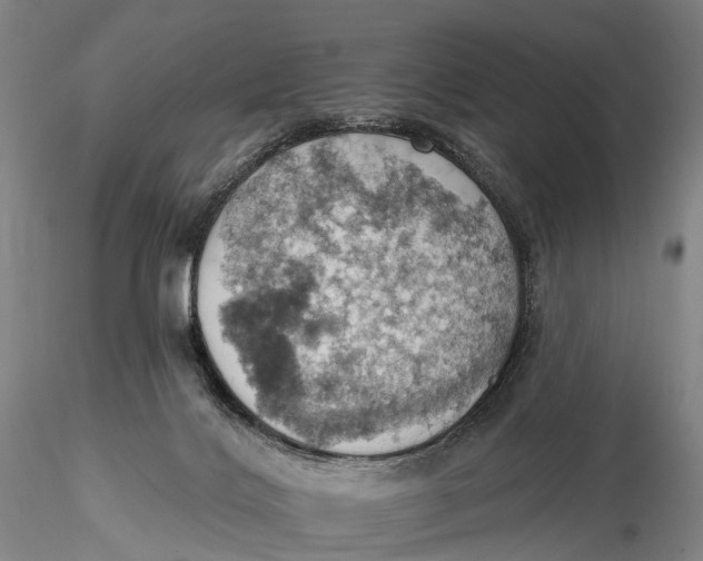 X0000115590028200912011514
