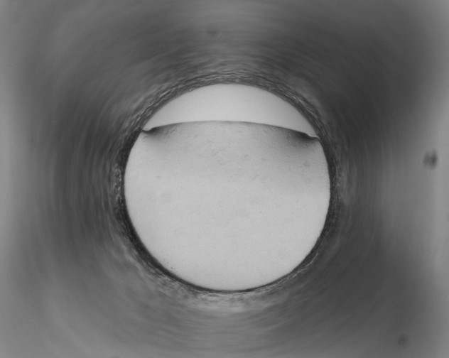 X0000115590029200912011514