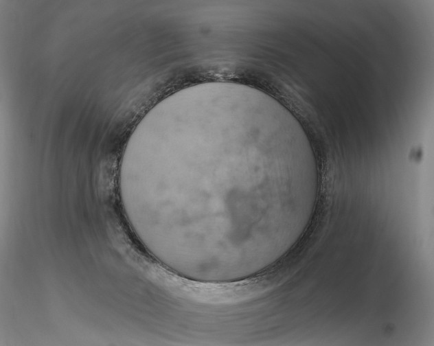 X0000115590030200912011514